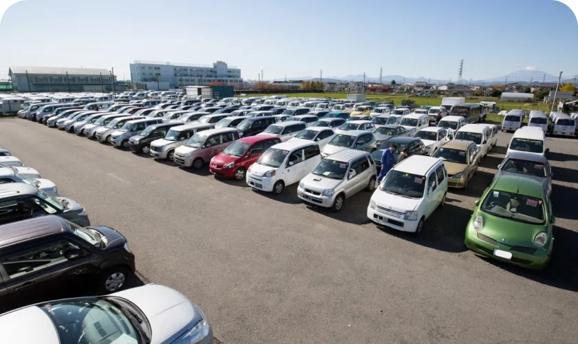 多様な車に乗れる